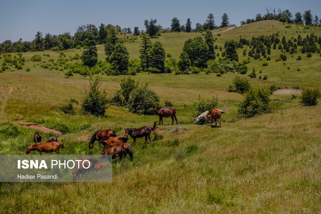 کردکوی در آینه نوروز/ از بهارگردی بر فراز ابرها تا تجربه خنکای آبشار «دِاُو» 4 کردکوی در آینه نوروز/ از بهارگردی بر فراز ابرها تا تجربه خنکای آبشار «دِاُو»