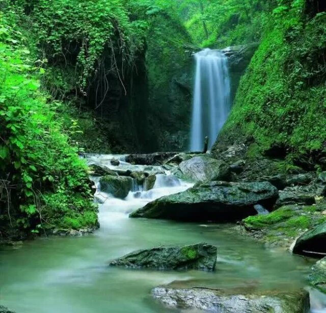 کردکوی در آینه نوروز/ از بهارگردی بر فراز ابرها تا تجربه خنکای آبشار «دِاُو» 6 کردکوی در آینه نوروز/ از بهارگردی بر فراز ابرها تا تجربه خنکای آبشار «دِاُو»