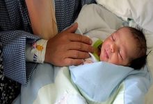 daa9d988d8aad8a7d987db8cdbb2dbb0 d8afd8b3d8aadaafd8a7d987 d8afd988d984d8aadb8c d8afd8b1 d8a7d8acd8b1d8a7db8c d8b3db8cd8a7d8b3d8aa 65a56e5ed90b0