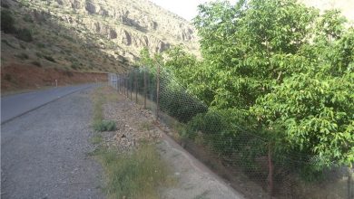 daa9d98ed987d985d8a7d986 d8a7d984d8b4d8aad8b1d88c d8a8d987d8b4d8aa daa9d988da86daa9 d984d8b1d8b3d8aad8a7d986 65a636faa853b