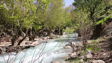 گردشگری باغملک، اشتغالزا اما فراموش شده است 7 daafd8b1d8afd8b4daafd8b1db8c d8a8d8a7d8bad985d984daa9d88c d8a7d8b4d8aad8bad8a7d984d8b2d8a7 d8a7d985d8a7 d981d8b1d8a7d985d988d8b4 65a503426aa30