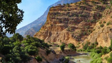 گردشگری در اردل؛ از آبشار زردلیمه تا پارکهای جنگلی 13 daafd8b1d8afd8b4daafd8b1db8c d8afd8b1 d8a7d8b1d8afd984d89b d8a7d8b2 d8a2d8a8d8b4d8a7d8b1 d8b2d8b1d8afd984db8cd985d987 d8aad8a7 d9bed8a7 65a5415b5c87b