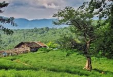 daafd8b1d8afd8b4daafd8b1db8c d985d8b3d8a7d981d8b1d8a7d986 d986d988d8b1d988d8b2db8c d8afd8b1d982d8afd985daafd8a7d987 d8a7d986d8b3d8a7 65a54828d716d