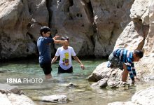 daafd8b1d8afd8b4daafd8b1db8c d986db8cd985d987d8acd8a7d986 da86d987d8a7d8b1d985d8add8a7d984 d988 d8a8d8aed8aadb8cd8a7d8b1db8cd88c 65a8192502f31