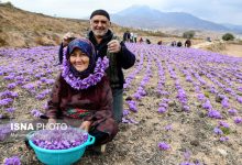 daafd8b1d8afd8b4daafd8b1db8c daa9d8b4d8a7d988d8b1d8b2db8c d8afd8b1 d987d985d8afd8a7d986d89b d981d8b1d8b5d8aa db8cd8a7 d8add8b3d8b1d8aa 65a6a33dbf454