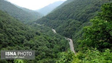 گردنهای که در عبور از آن، حیران میشوید 8 daafd8b1d8afd986d987d8a7db8c daa9d987 d8afd8b1 d8b9d8a8d988d8b1 d8a7d8b2 d8a2d986d88c d8addb8cd8b1d8a7d986 d985db8cd8b4d988 65a4eae051e63