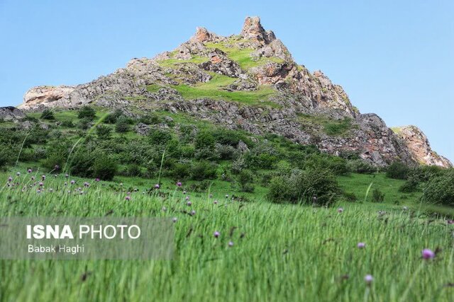 daafd8b2d8a7d8b1d8b4 d8aad8b5d988db8cd8b1db8c d985d986d8b7d982d987 d8a2d986d8b2db8cd8b1d89b d986d988d8a7db8c 65a50be6e74c7