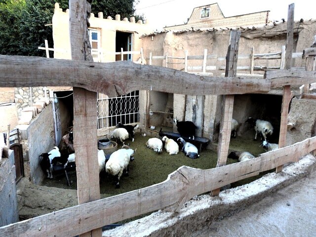 صنعت توریسم رو به زوال است