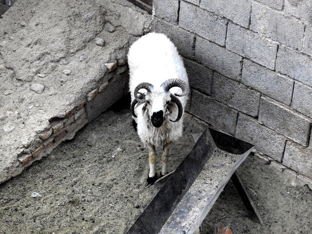 صنعت توریسم رو به زوال است