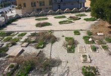 daafd988d8b1d8b3d8aad8a7d986 d8a7d986daafd984db8cd8b3db8cd987d8a7d88c d986d985d8a7d8af da86daa9d985d987d9bed988d8b4d8a7 65a66a7545450