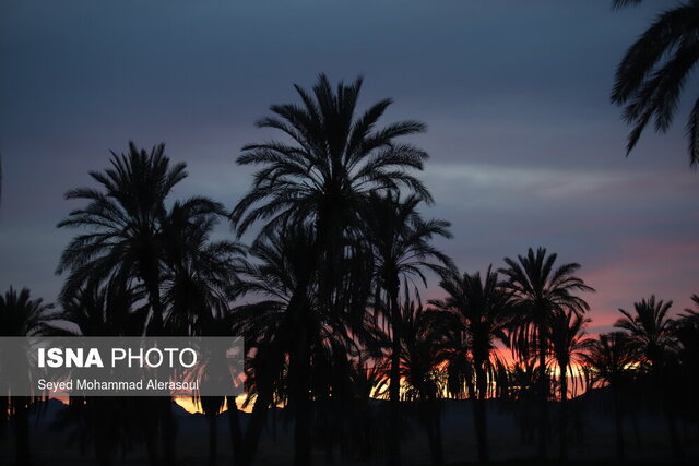 یک آرامش ماجراجویانه در ریگ یلان 3 یک آرامش ماجراجویانه در ریگ یلان