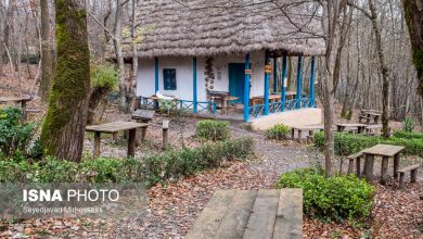 ۳ میلیون و ۳۰۰ نفر مسافر و گردشگر وارد گیلان شدهاند 17 dbb3 d985db8cd984db8cd988d986 d988 dbb3dbb0dbb0 d986d981d8b1 d985d8b3d8a7d981d8b1 d988 daafd8b1d8afd8b4daafd8b1 d988d8a7d8b1d8af daaf 65a4c59923163