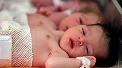 ۳۲۰ هزار خانواده از ابتدای اجرای طرح جوانی جمعیت صاحب فرزند سوم شدند 1 dbb3dbb2dbb0 d987d8b2d8a7d8b1 d8aed8a7d986d988d8a7d8afd987 d8a7d8b2 d8a7d8a8d8aad8afd8a7db8c d8a7d8acd8b1d8a7db8c d8b7d8b1d8ad d8acd988 65a5750ef0c45