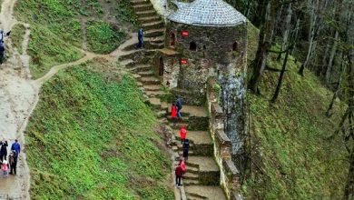 ۷.۵ میلیون گردشگر نوروزی به گیلان آمدند/ اشغال ۱۱۰ درصدی اقامتگاه ها 4 dbb7 dbb5 d985db8cd984db8cd988d986 daafd8b1d8afd8b4daafd8b1 d986d988d8b1d988d8b2db8c d8a8d987 daafdb8cd984d8a7d986 d8a2d985d8afd986d8af 65a6326c689a1