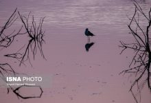 d8a7d8b1d8b2d8b4 d8a7daa9d988d984d988da98db8cdaa9 d8aad8a7d984d8a7d8a8d987d8a7 dbb1dbb0 d8a8d8b1d8a7d8a8d8b1 d8acd986daafd984 65cc0cc920eef