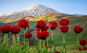 بهشتی در چند قدمی تهران 5 بهشتی در چند قدمی تهران