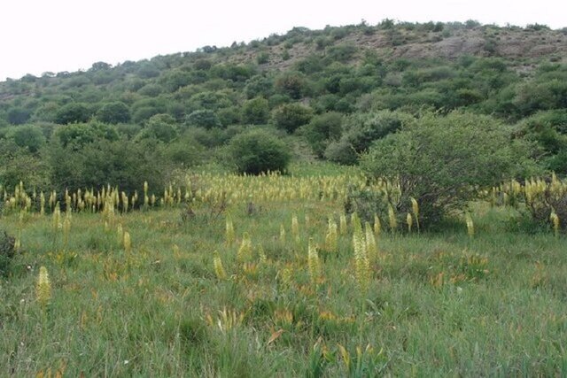 خراسان شمالی غنی از مناطق اکُوتُنی 2 ب