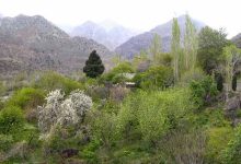 d8afd985db8c d8afd8b1 d8a8d987d8b4d8aa d987d986d8af daa9d988da86daa9 d8a8db8cd8a7d8b3d8a7db8cdb8cd985 66036c973400e