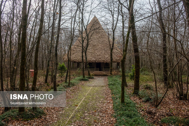 سفر به تنها اکوموزه ایران در دل جنگلهای سراوان 2 سفر به تنها اکوموزه ایران در دل جنگلهای سراوان