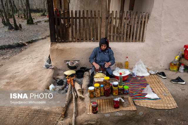 سفر به تنها اکوموزه ایران در دل جنگلهای سراوان 4 سفر به تنها اکوموزه ایران در دل جنگلهای سراوان