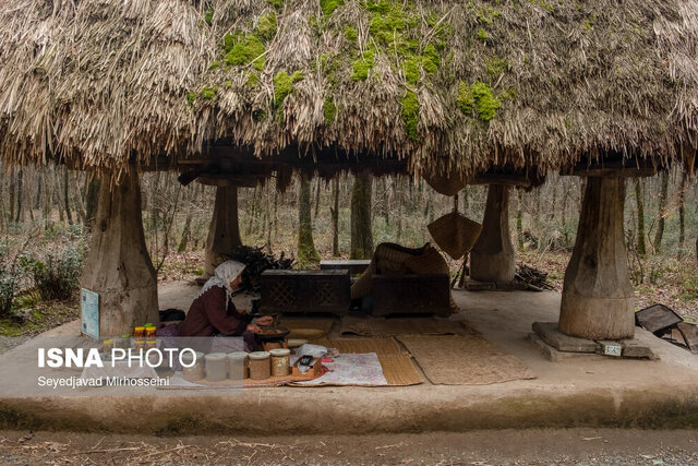 سفر به تنها اکوموزه ایران در دل جنگلهای سراوان 7 سفر به تنها اکوموزه ایران در دل جنگلهای سراوان