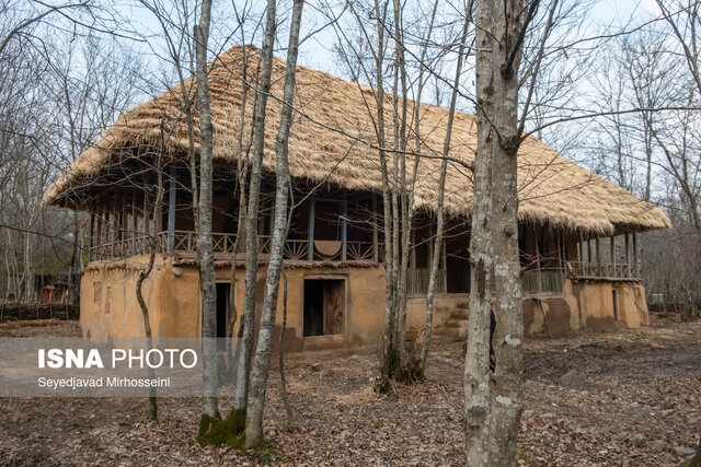 سفر به تنها اکوموزه ایران در دل جنگلهای سراوان 9 سفر به تنها اکوموزه ایران در دل جنگلهای سراوان