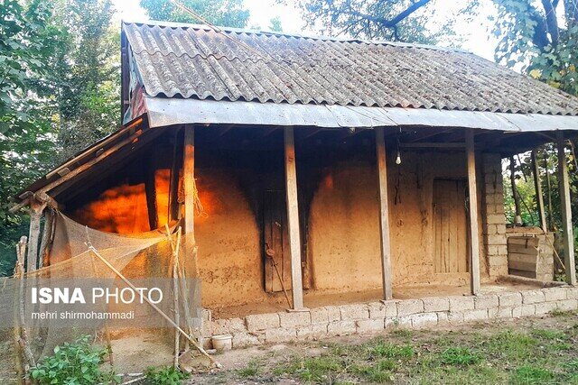 سفر به سرزمین تاریخی کوهدم همراه با عطر برنج دودی 2 سفر به سرزمین تاریخی کوهدم همراه با عطر برنج دودی