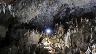 d981d8b1d8a7d987d985 d8b4d8afd986 d8b2db8cd8b1d8b3d8a7d8aed8aad987d8a7db8c d984d8a7d8b2d985 d8a8d8b1d8a7db8c d8add8b6d988d8b1 65efa6815faa0