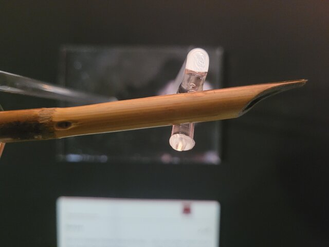 نوروزی خوش با سفر به «دیلیگُن»