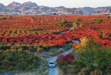 d987d985d8b2db8cd8b3d8aadb8c d8b7d8a8db8cd8b9d8aa d988 d8a7d986d8b3d8a7d986 d8a8d8a7 d8aad8b1daa9db8cd8a8 d981d8b6d8a7d987d8a7db8c d8b7 65fa32d75a60b