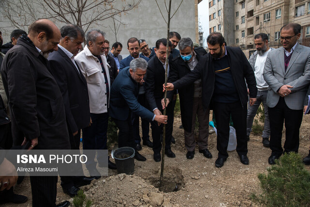 پویش «نهال نو، خانه نو» برگزار شد 3 پویش «نهال نو، خانه نو» برگزار شد