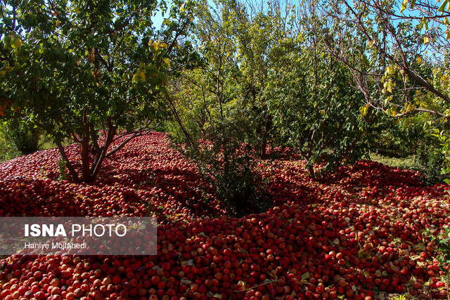 چرا باید به روستاهای ساوه سفر کنیم؟