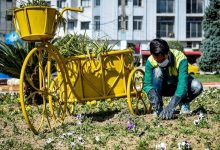 daa9d8a7d8b4d8aa dbb1 dbb5 d985db8cd984db8cd988d986 daafd984 d8afd8b1 d987d985d8afd8a7d986 d8acd8a7d986d985d8a7db8cdb8c dbb1dbb0dbb0 65efa5e00876d