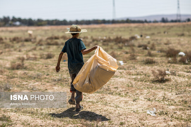 از خرید با کیسه پلاستیکی تا دود سرطانزای واحد بازیافت 2 از خرید با کیسه پلاستیکی تا دود سرطانزای واحد بازیافت