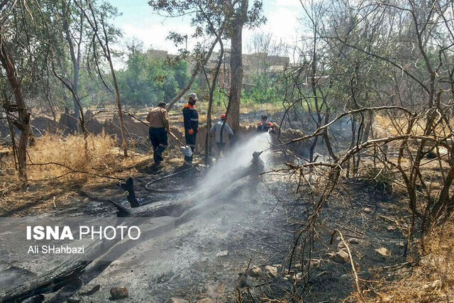 ریه‌های محلات نفس تازه می‌کنند؟