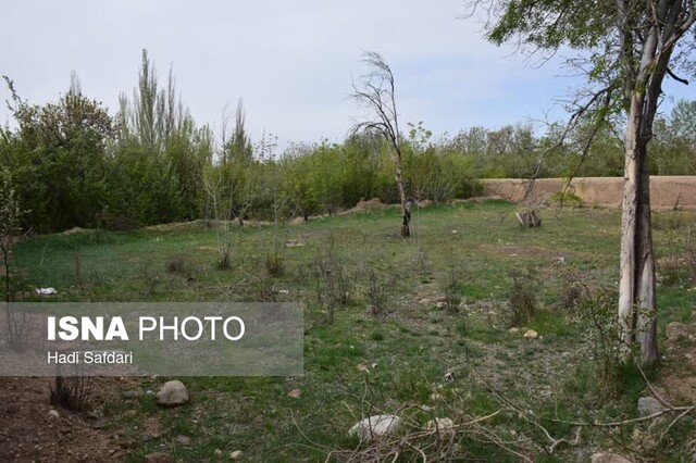 ریه‌های محلات نفس تازه می‌کنند؟