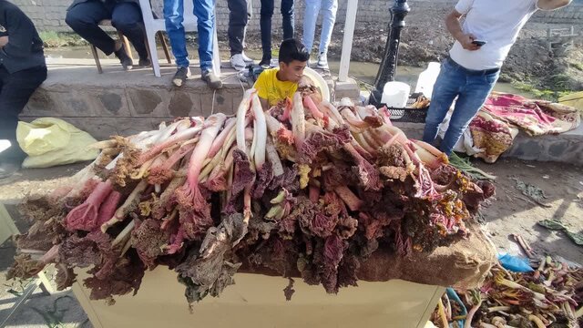 چهارمین جشنواره ریواس و سبزی‌های بومی در کوهسرخ برگزار شد