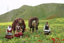 آغاز فعالیت ستاد ملی روز روستا و عشایر ۱۴۰۳ 3 d8a2d8bad8a7d8b2 d981d8b9d8a7d984db8cd8aa d8b3d8aad8a7d8af d985d984db8c d8b1d988d8b2 d8b1d988d8b3d8aad8a7 d988 d8b9d8b4d8a7db8cd8b1 dbb1 663cc51c6151a