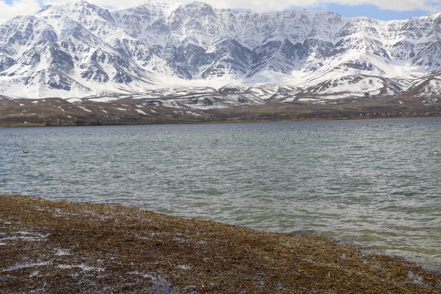 تالاب بینالمللی چغاخور 2 تالاب بینالمللی چغاخور