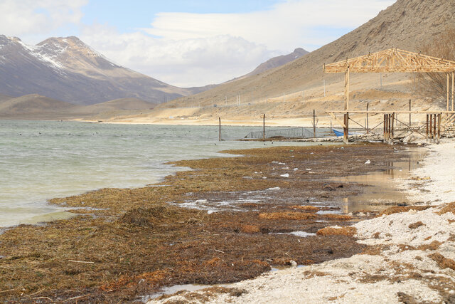 تالاب بینالمللی چغاخور 4 تالاب بینالمللی چغاخور