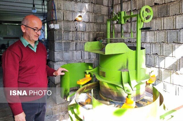 توریسم چای، رویکرد نوین برای احیای باغ های چای