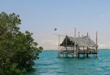 d8b1d8a7d987d8a7d986d8afd8a7d8b2db8c d986d8aed8b3d8aadb8cd986 d8b3d8a7db8cd8aa daafd8b1d8afd8b4daafd8b1db8c d8afd8b1db8cd8a7db8c 665528c5b7175