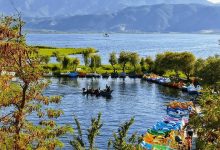 d985d8b1db8cd988d8a7d986 d8b0d8aedb8cd8b1db95daafd8a7db95 d981d8b1d987d986daafdb8c d8a7d8b3d8aad8a7d986 daa9d8b1d8afd8b3d8aad8a7d986 6646a84beca8f