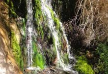 d8a7d8b2 daafd8b1d985d8a7db8c d8aad8a7d8a8d8b3d8aad8a7d986 d8a8d987 daa9d8afd8a7d985 d8b1d988d8b3d8aad8a7d987d8a7db8c d8aed986daa9 daa9 66a19ff5885c1