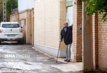 d8aad8b1d8a7da98d8afdb8c d986daafd987d8afd8a7d8b1db8c d8a7d8b2 d8b3d8a7d984d985d986d8afd8a7d986 d988 d985d8b4d8bad984d987 d8b1d988d8b2 6685f31b64bb5