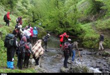 d981d8b9d8a7d984db8cd8aa dbb1dbb6dbb0 d8b1d8a7d987d986d985d8a7db8c daafd8b1d8afd8b4daafd8b1db8c d8afd8a7d8b1d8a7db8c d985d8acd988d8b2 6689e50478822