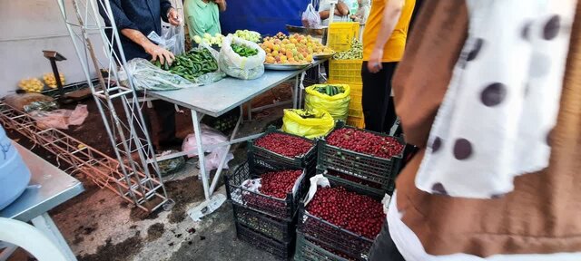 پنجمین جشنواره ملی آلبالو در شهر زنگنه برگزار شد 8 پنجمین جشنواره ملی آلبالو در شهر زنگنه برگزار شد