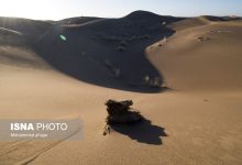 dbb1dbb5 daafd8b1d8afd8b4daafd8b1 d8a7d8b5d981d987d8a7d986db8c d8afd8b1 d8b3d984d8a7d985d8aa daa9d8a7d985d984 d9bedb8cd8afd8a7 d8b4d8af 673001fee7de6