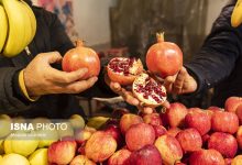 d8a7d8aed8aad8b5d8a7d8b5 d8a8d8b3d8aad987d987d8a7db8c dbb3dbb0dbb0 d987d8b2d8a7d8b1 d8aad988d985d8a7d986db8c d8b4d8a8 db8cd984 67651af0ca1c6