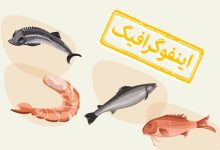 d8a7db8cd986d981d988daafd8b1d8a7d981db8cdaa9 dbb6 d8bad8b0d8a7db8c d8afd8b1db8cd8a7db8cdb8c d8b3d8b1d8b7d8a7d986d8b2d8a7 67850dc1cb493